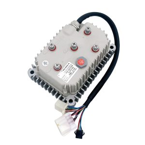 Jaguar series, modest size & all around Motor Controllers (12V-96V) (160A-450A)
